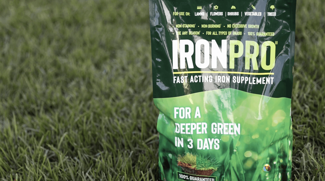 IronPro Fast Acting Iron Supplement - Earth Science