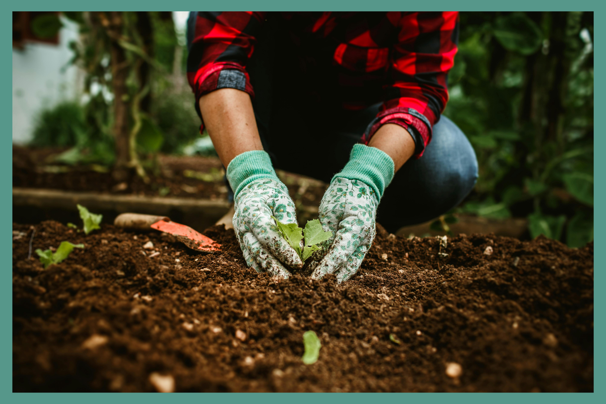Gardener working in dirt with gloves
